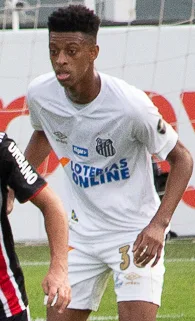 Foto de Robson Bambu