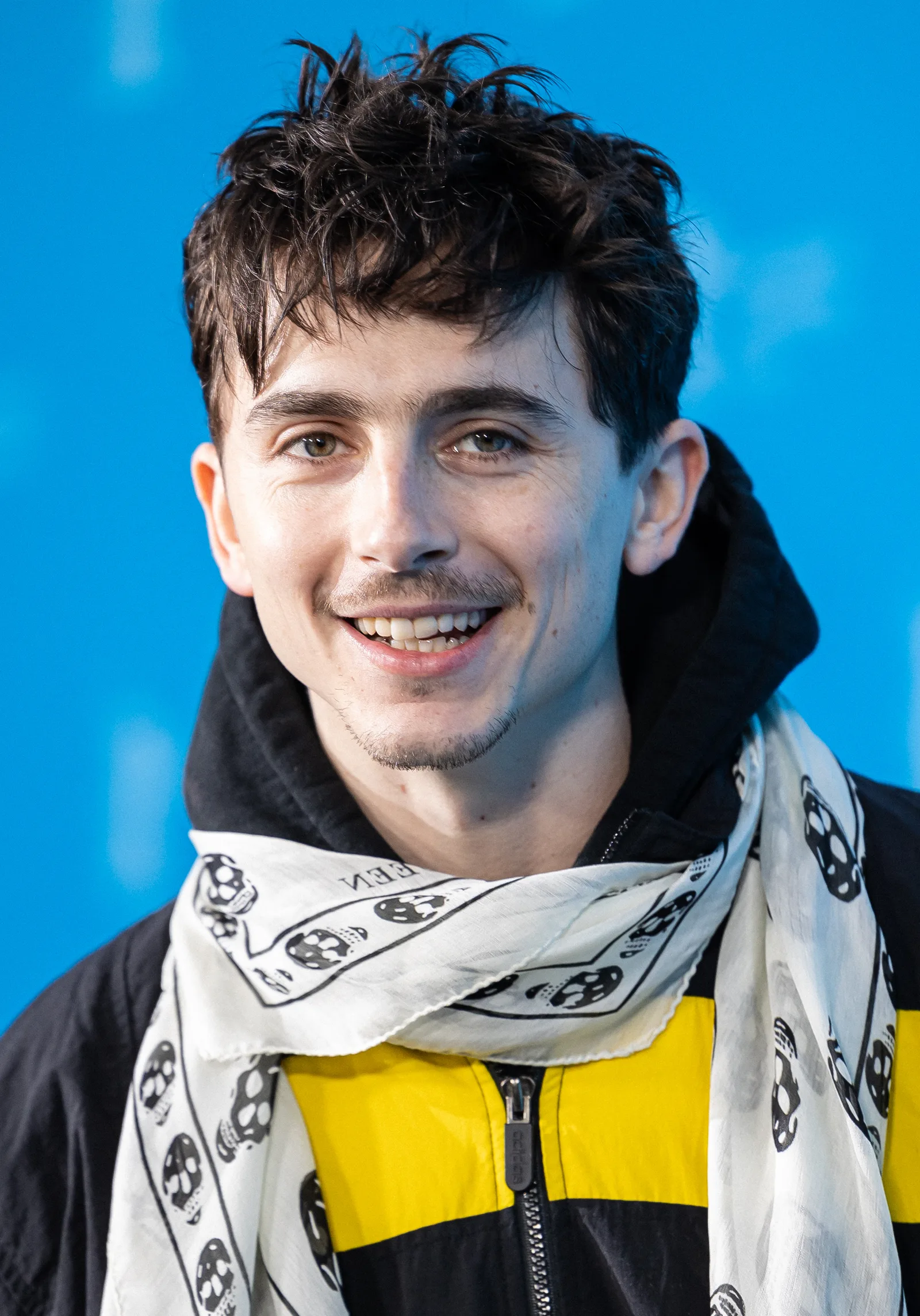 Foto de Timothée Chalamet