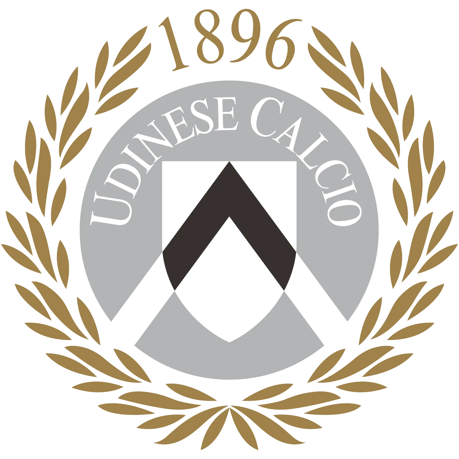 Foto de Udinese Calcio