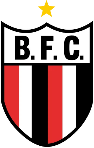 Foto de Botafogo Futebol Clube (Ribeirão Preto)