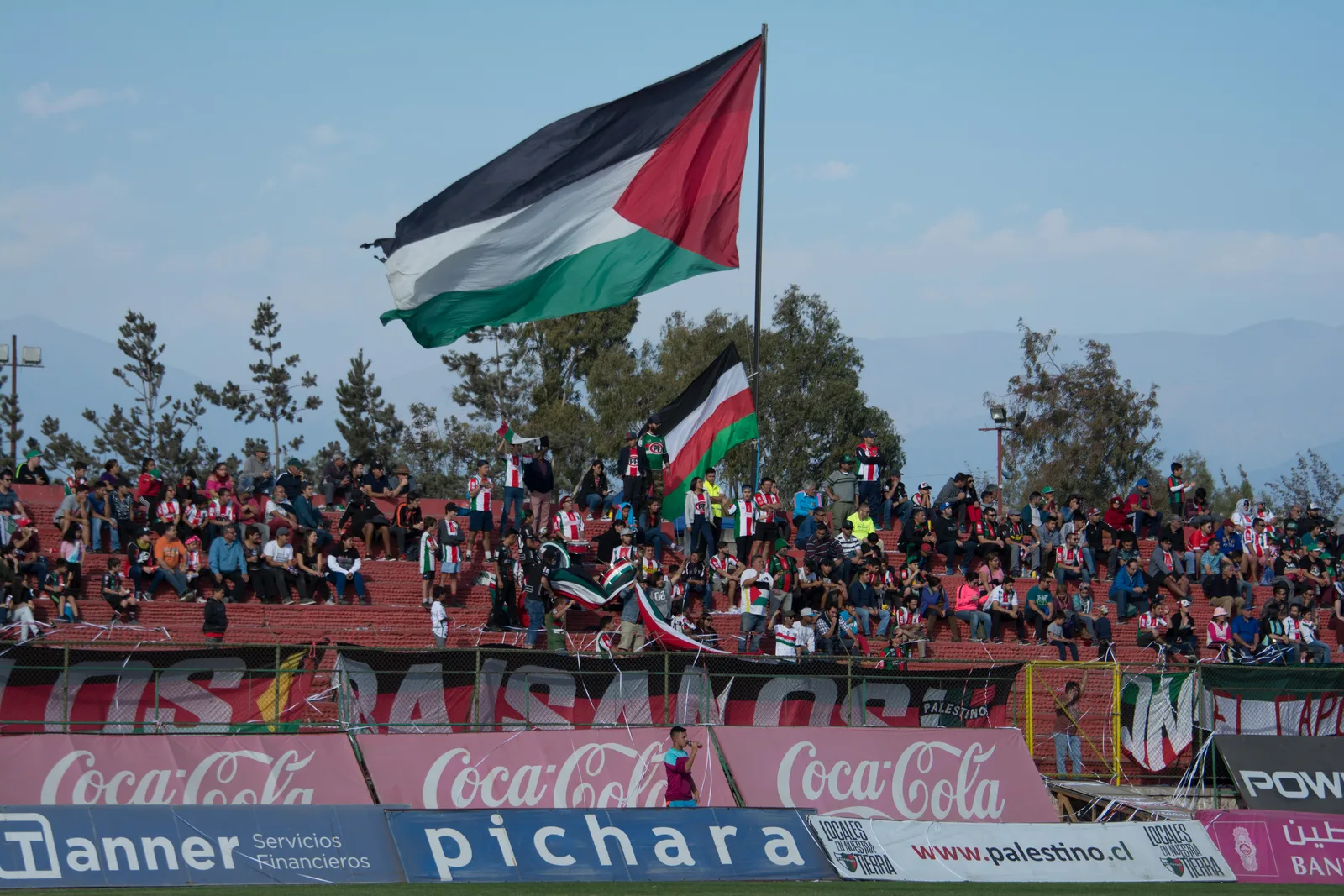 Foto de Club Deportivo Palestino